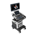 21.5 inch LED screen + 13.3 inch touch screen mobile medical ultrasound instruments system 4d ultrasound machine